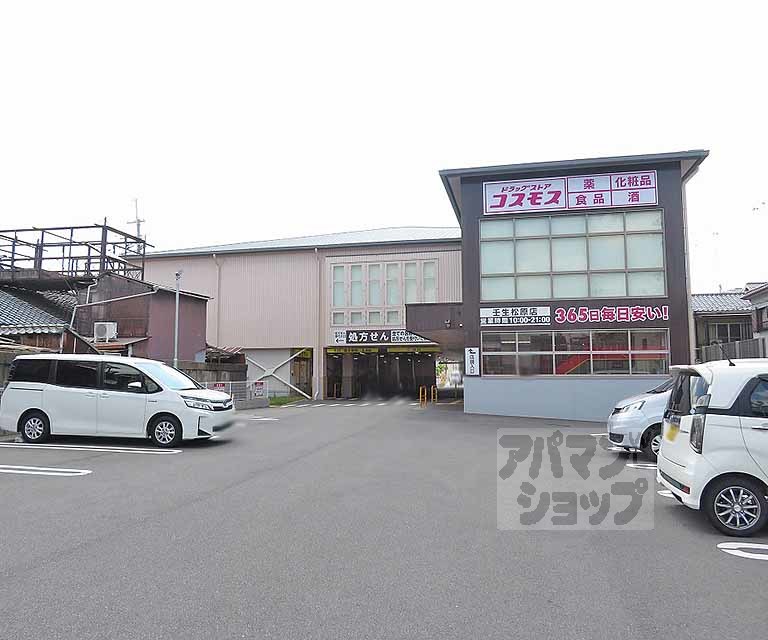 ドラックストア　コスモス壬生松原店（ドラッグストア）まで250m