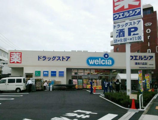 ドラックストア　ウエルシア墨田八広店（ドラッグストア）まで1251m