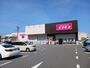 ドラックストア　コスモス大蔵海岸店（ドラッグストア）まで700m