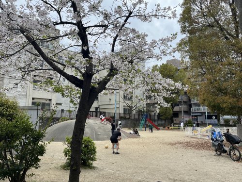 公園　常盤公園（公園）まで147m