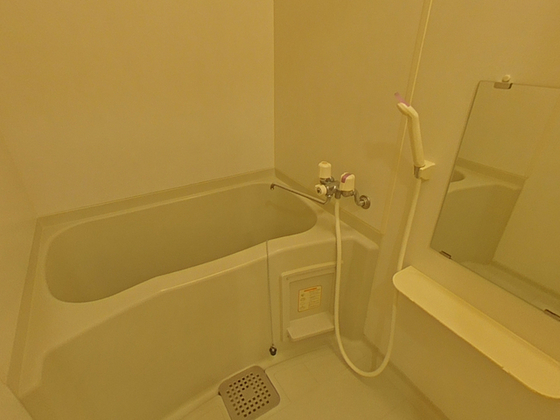 バス・シャワールーム　※別部屋の写真です