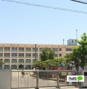 小学校　明石市立朝霧小学校（小学校）まで1046m