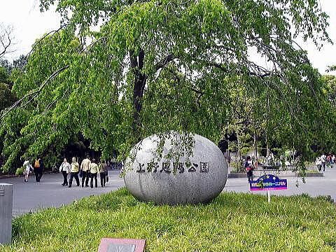 公園　上野公園（公園）まで350m