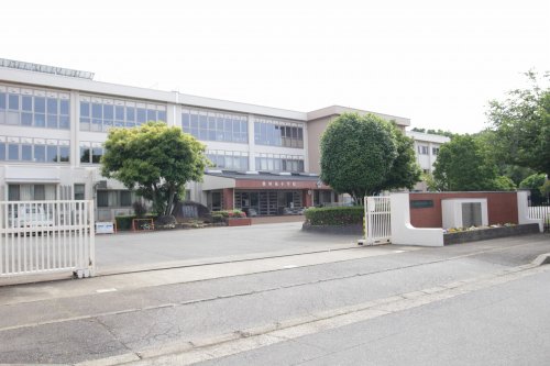 小学校　土浦市立都和南小学校（小学校）まで784m