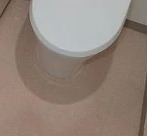 トイレ　※別部屋の参考写真です。