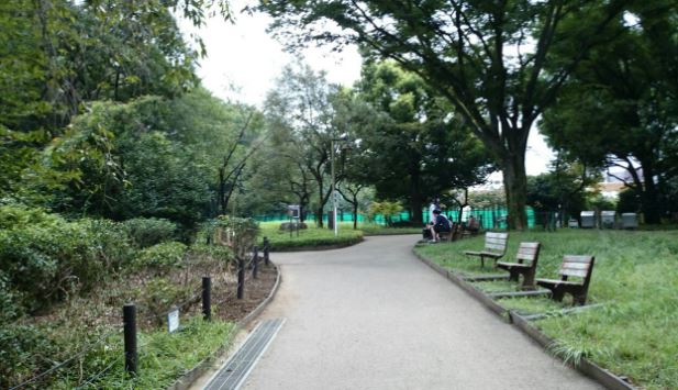 公園　駒場野公園（公園）まで850m