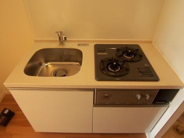 キッチン　Dタイプ2011年1月撮影