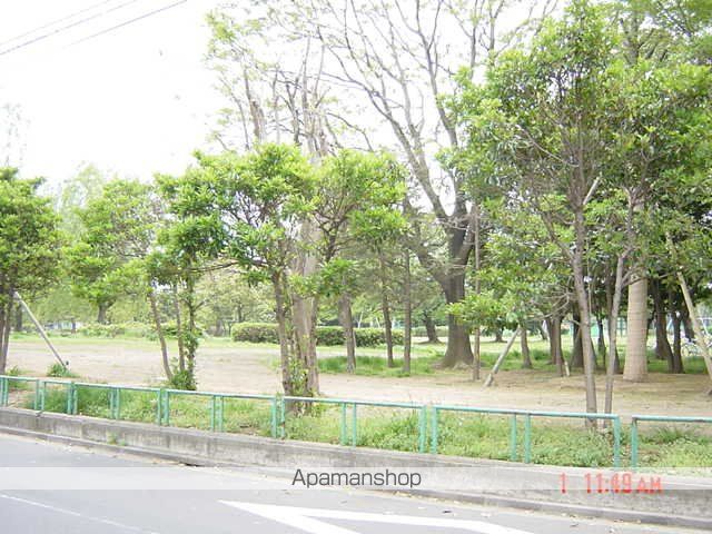 その他　篠崎公園（その他）まで80m