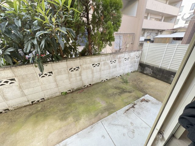 庭