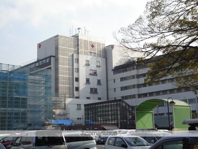 その他　武蔵野赤十字病院（その他）まで781m