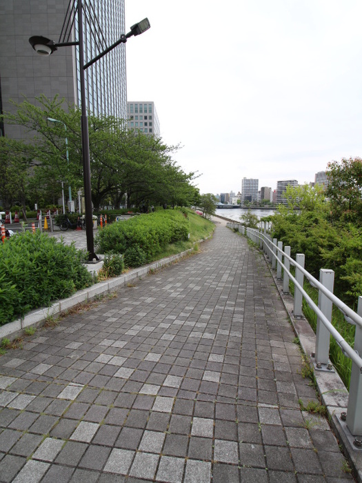 公園　新川公園(隅田川テラス)（公園）まで400m
