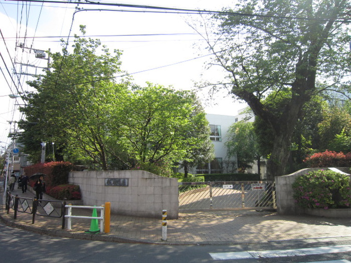 大学・短大　桐朋学園（大学・短大）まで500m