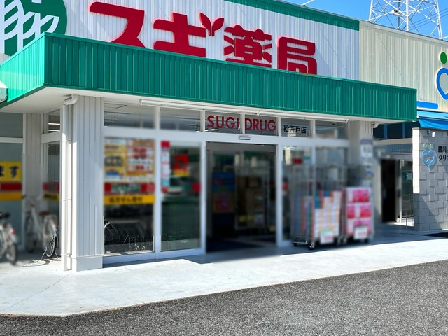 ドラックストア　スギ薬局 松河戸店（ドラッグストア）まで454m