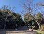 公園　野鳥園中央広場（公園）まで1449m