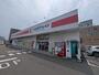 ドラックストア　ココカラファイン 関屋店（ドラッグストア）まで800m