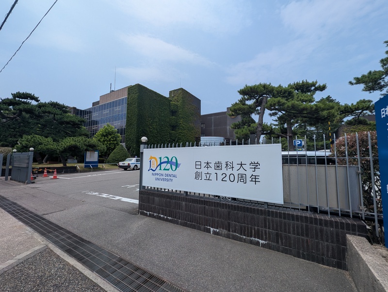 大学・短大　日本歯科大学（大学・短大）まで650m