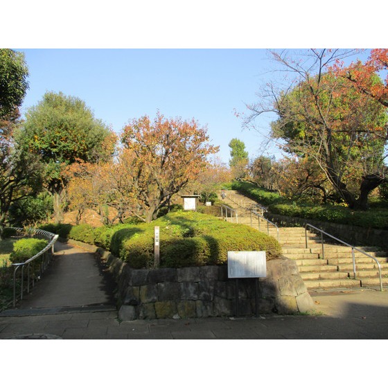 公園　羽根木公園（公園）まで787m