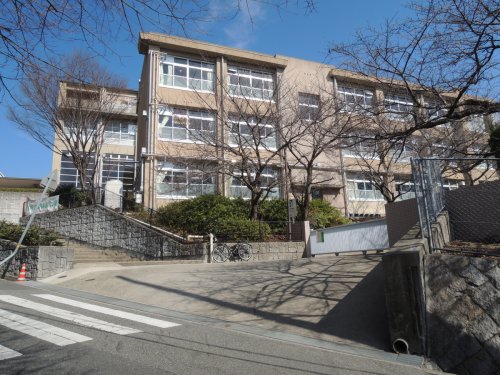 中学校　西宮市立中学校 上ケ原中学校（中学校）まで555m