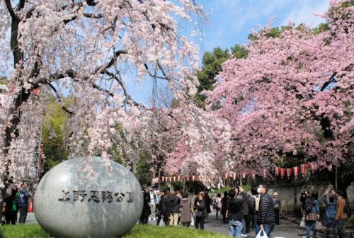 公園　上野恩賜公園（公園）まで1602m