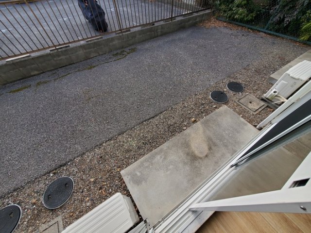 庭