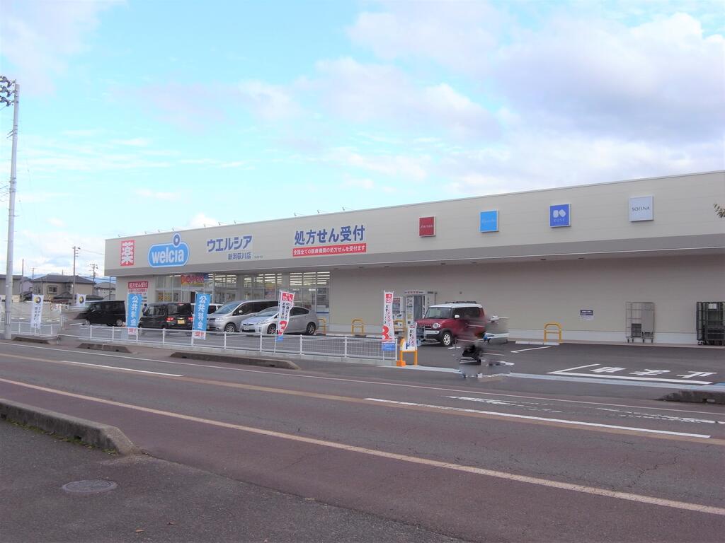 ドラックストア　ウエルシア新潟荻川店（ドラッグストア）まで1337m