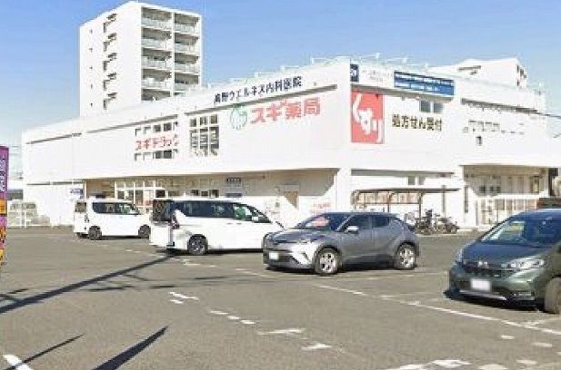 ドラックストア　スギ薬局　宝町店（ドラッグストア）まで800m