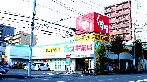 ドラックストア　スギ薬局 下新城店（ドラッグストア）まで763m