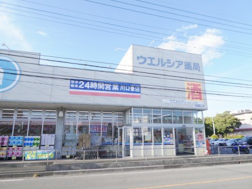 ドラックストア　ウエルシア薬局川口峯店（ドラッグストア）まで1850m