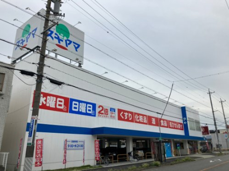 ドラックストア　ドラッグスギヤマ 平子店（ドラッグストア）まで838m