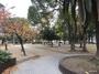 公園　東小橋公園（公園）まで979m