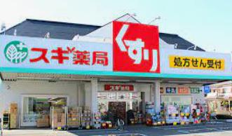 ドラックストア　スギドラッグ 鳩ケ谷店（ドラッグストア）まで1118m