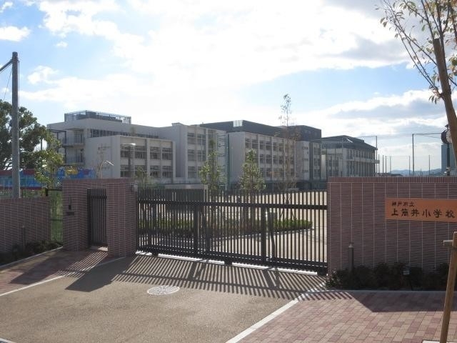 小学校　神戸市立上筒井小学校（小学校）まで533m