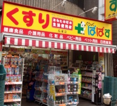 ドラックストア　どらっぐぱぱす広尾店（ドラッグストア）まで511m