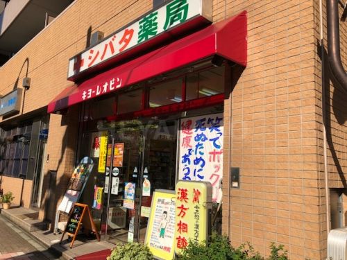 ドラックストア　シバタ薬局 音羽店（ドラッグストア）まで250m