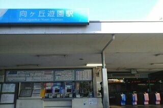 その他　向ヶ丘遊園駅（その他）まで250m