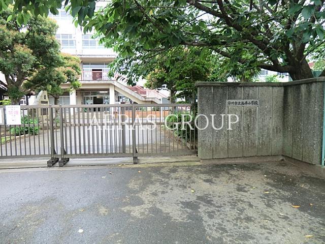 小学校　市川市立柏井小学校（小学校）まで1036m
