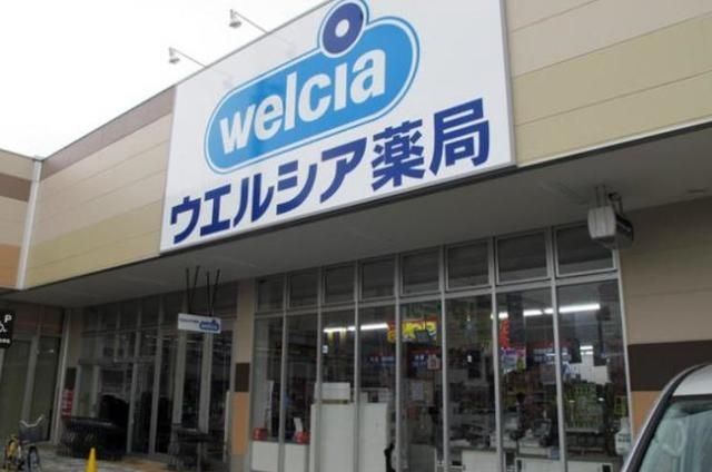 ドラックストア　ウエルシアライフガーデン新浦安店（ドラッグストア）まで888m