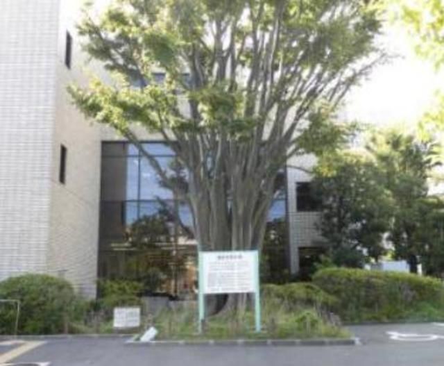 図書館　浦安市立図書館富岡分館（図書館）まで785m