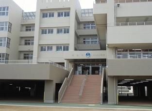 小学校　徳島市立沖洲小学校（小学校）まで544m