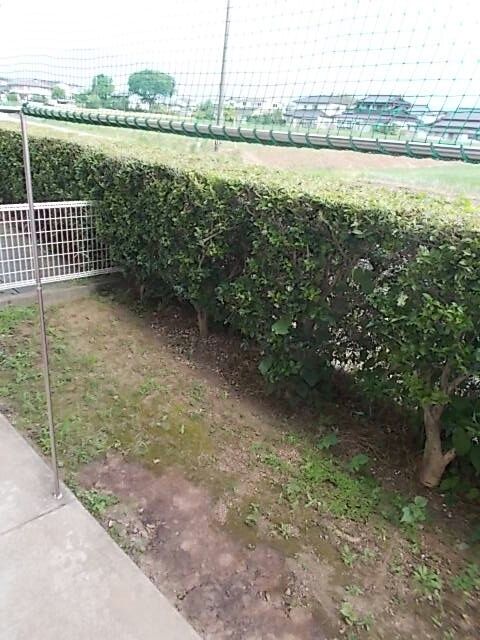 庭