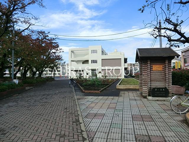 小学校　横浜市立綱島小学校（小学校）まで262m