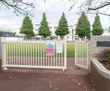 小学校　中野区立武蔵台小学校（小学校）まで331m