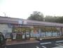 コンビニ　セブンイレブン柏千代田２丁目店（コンビニ）まで406m