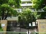 小学校　青南小学校（小学校）まで463m