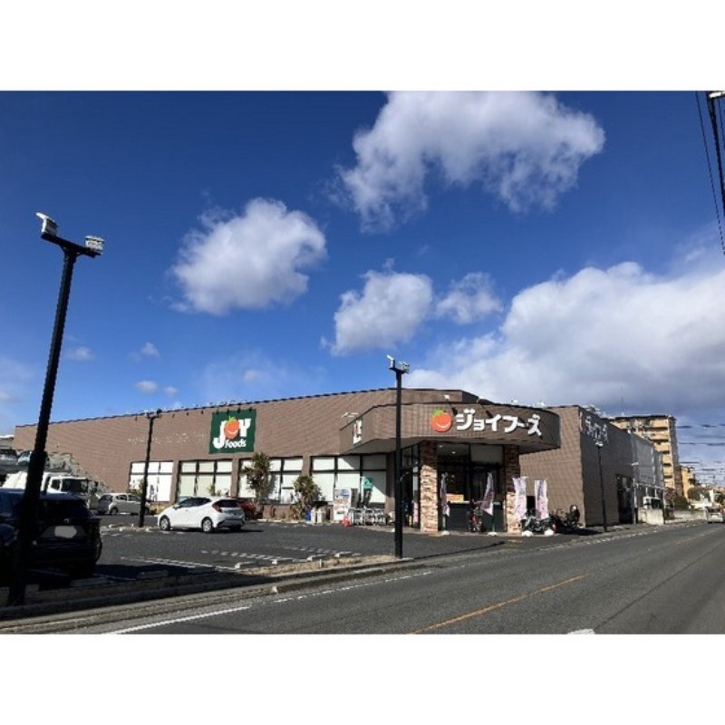 スーパー　ジョイフーズ前橋南店（スーパー）まで241m