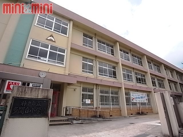 小学校　神戸市立多聞台小学校（小学校）まで600m