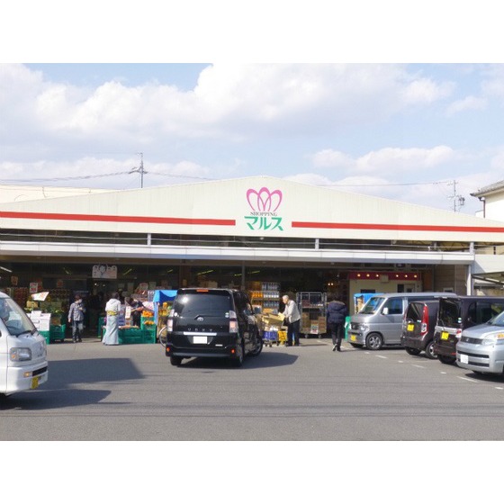 スーパー　ショッピングマルス本店（スーパー）まで1104m