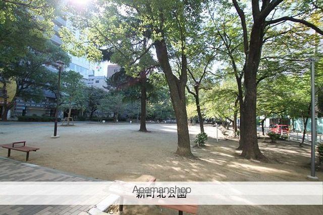 公園　新町北公園（公園）まで50m