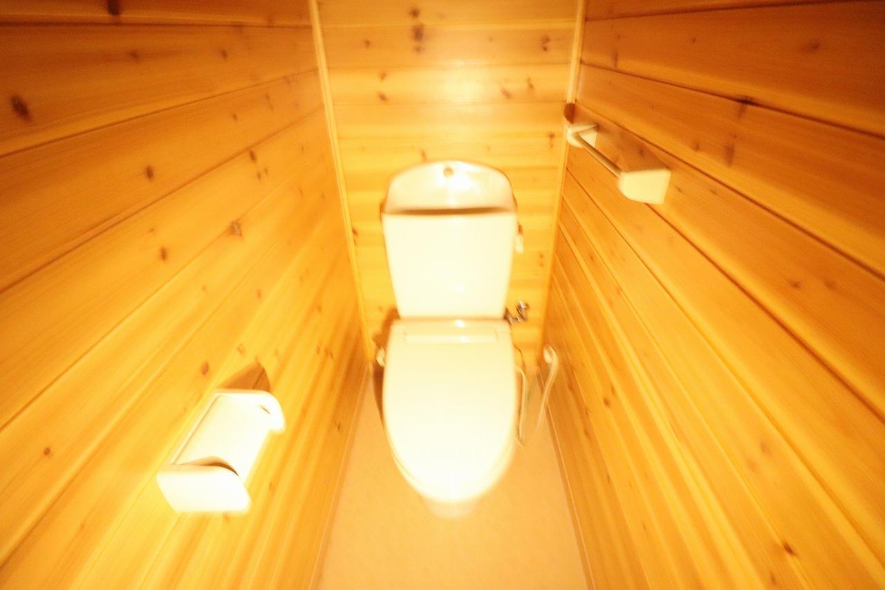 ヒーローマンション鳥海のトイレ写真