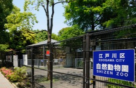 セイバリー西葛西IIの周辺写真